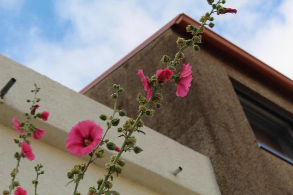 Detalhes da casa
