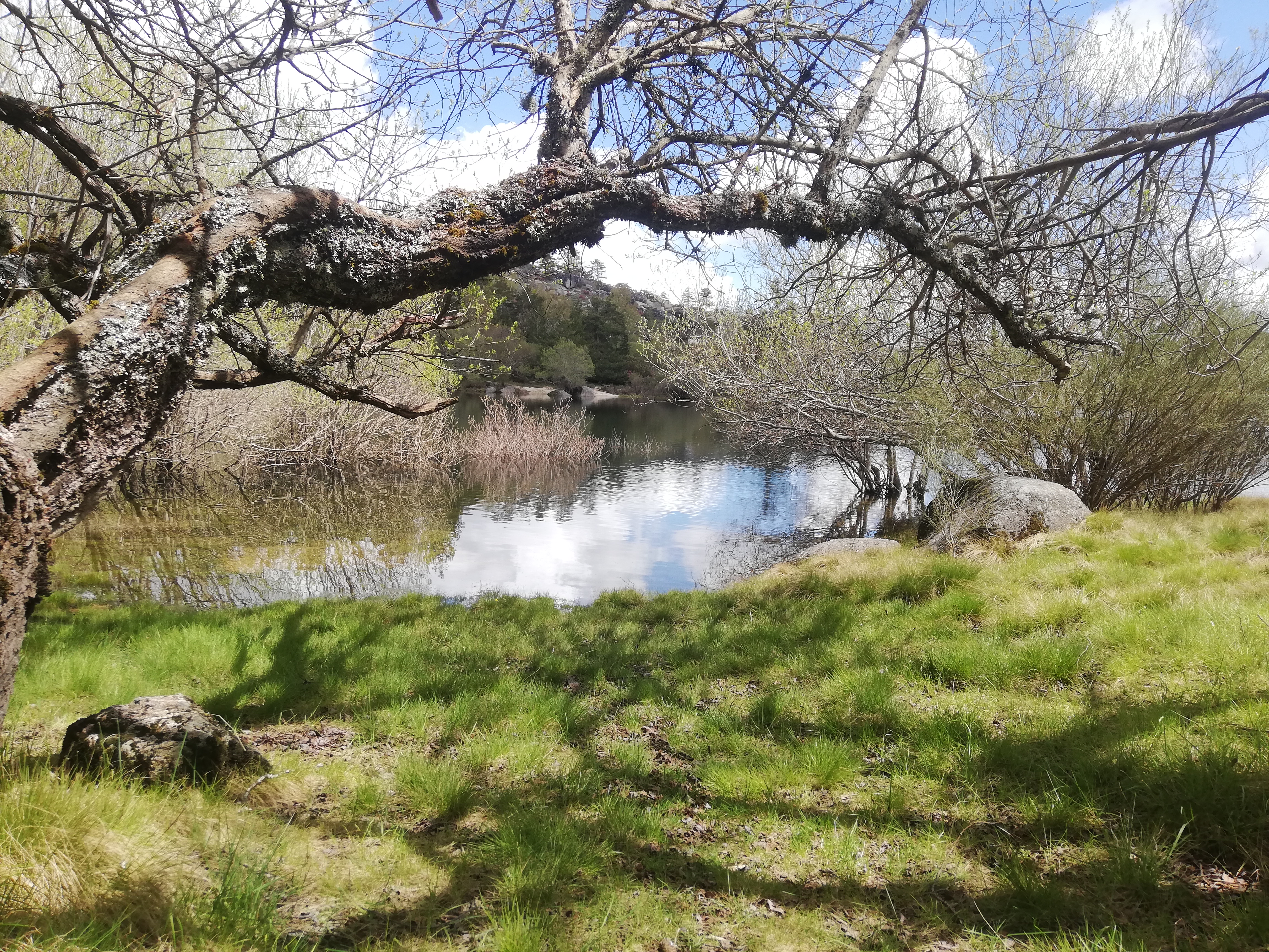 Paisagem Serra da Estrela