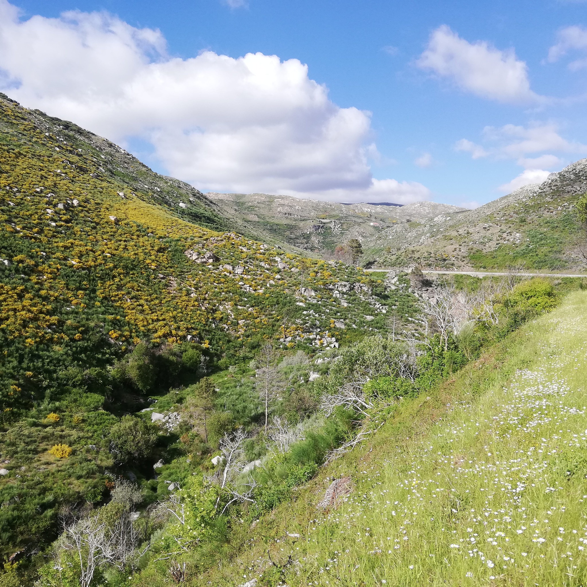 Paisagens da Serra