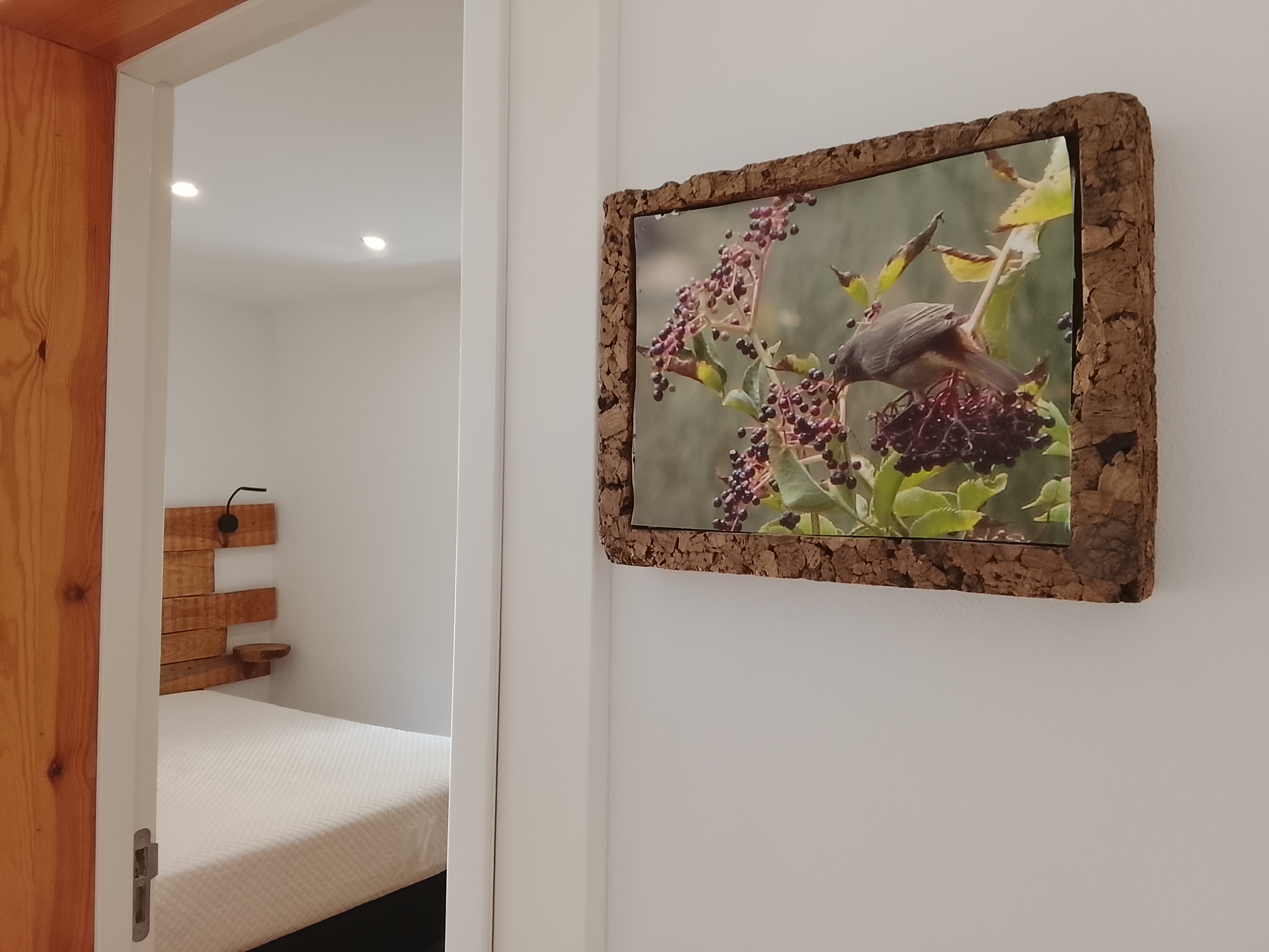 Quarto Rabirruivo — detalhe